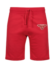 Chenille logo Shorts (Unissex)